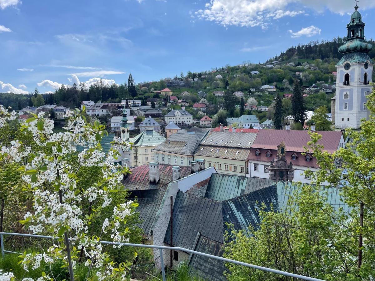 Cyprian Apartment Banská Štiavnica Dış mekan fotoğraf